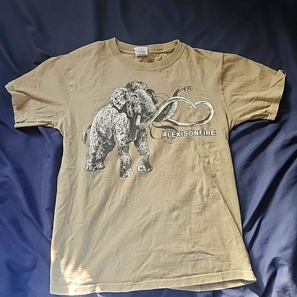 Small Alexisonfire Fruit of the Loom Brown Graphic Tee